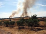 Incendi forestal a Ponent 2009