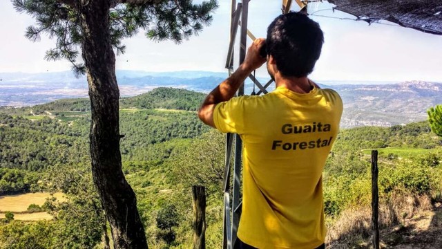 guaita-querol